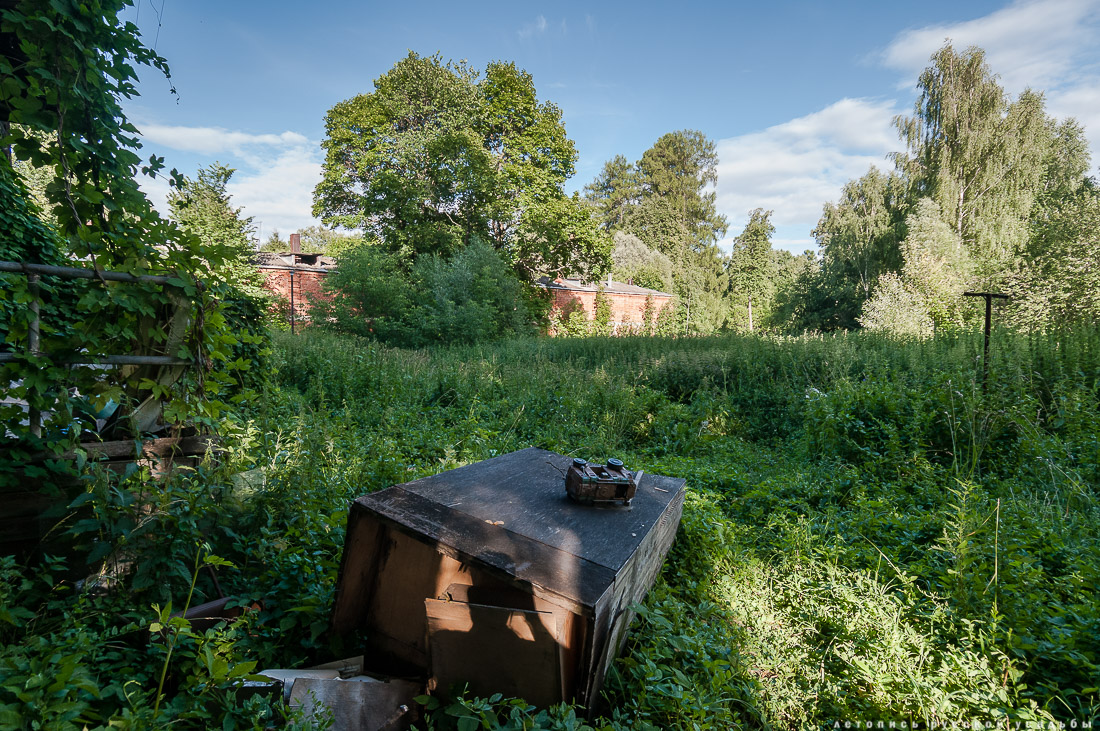 усадьба Отрада-Семеновское