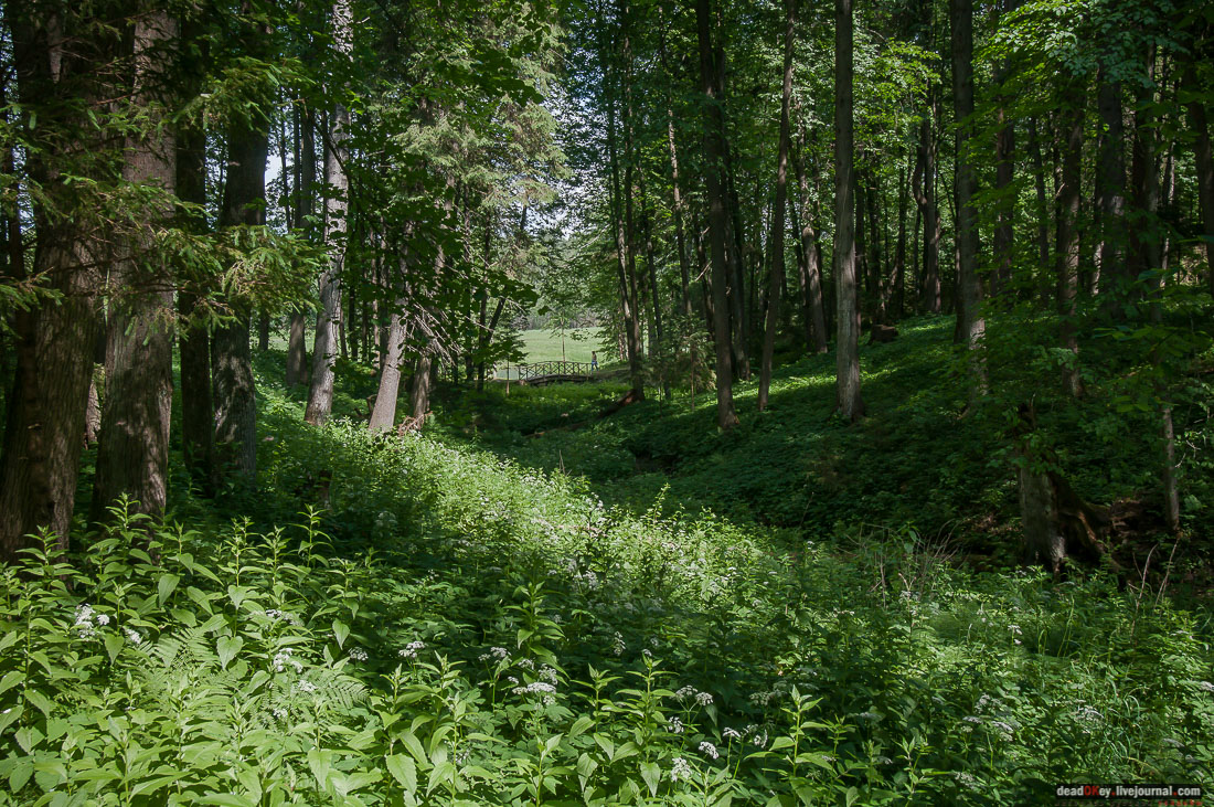 усадьба Знаменское-Раек, Тверская область, Новоторжский район