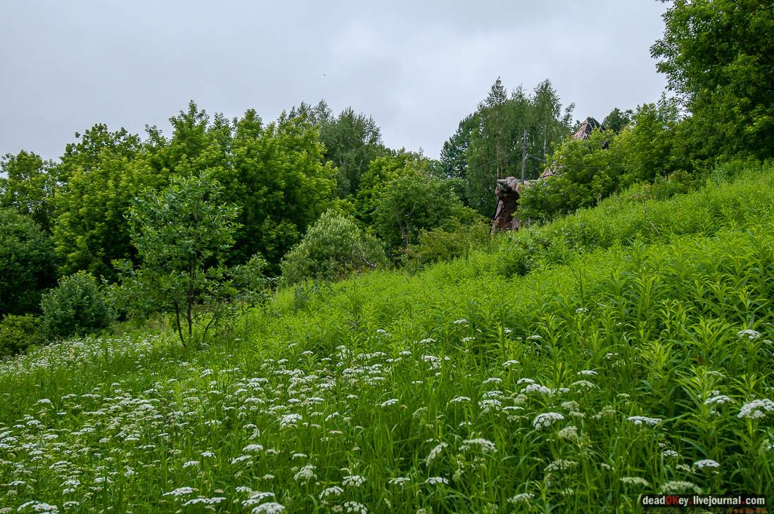 усадьба Митино, Торжокский район, Тверская область