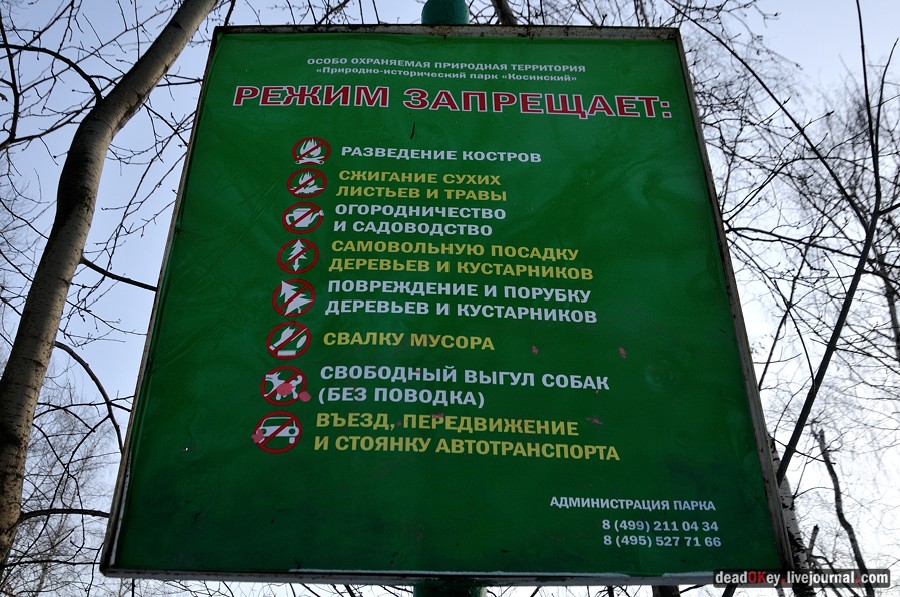 Косино