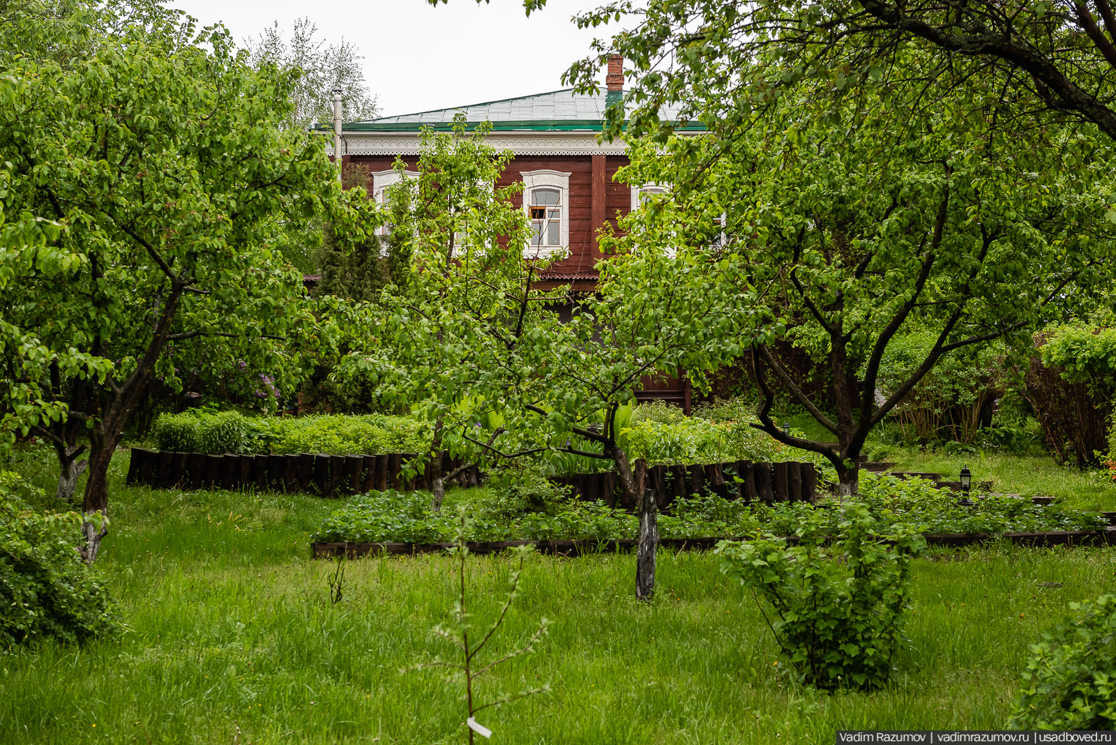 Усадьба фабриканта Думнова в Заречье, Владимирская область. Цветение сирени, сады