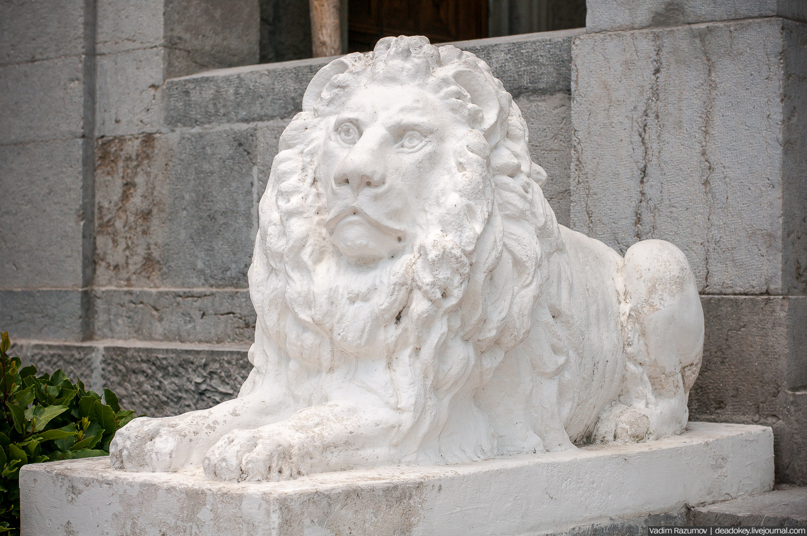 Юсуповский дворец, Крым, львы