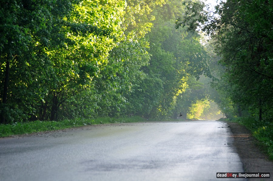 усадьба Прохорово