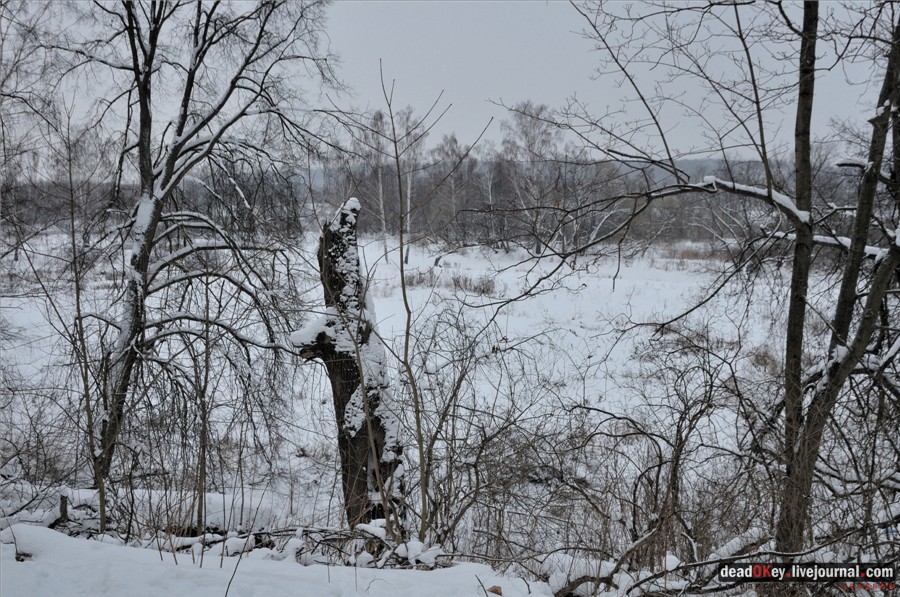 усадьба Городищи (