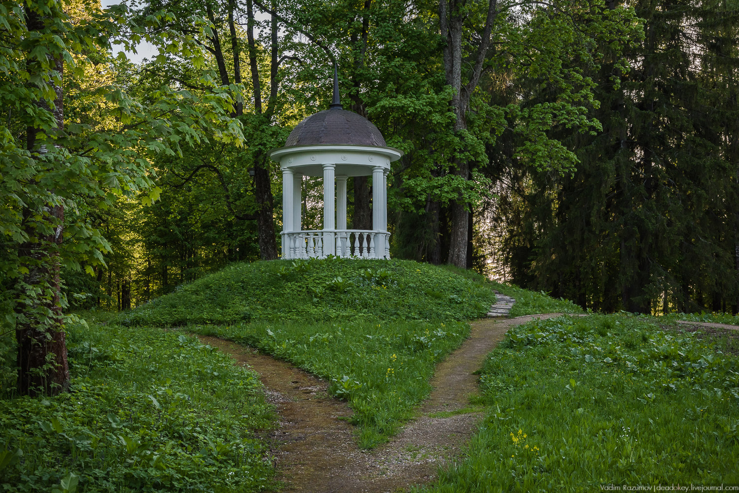 усадьба Воронино