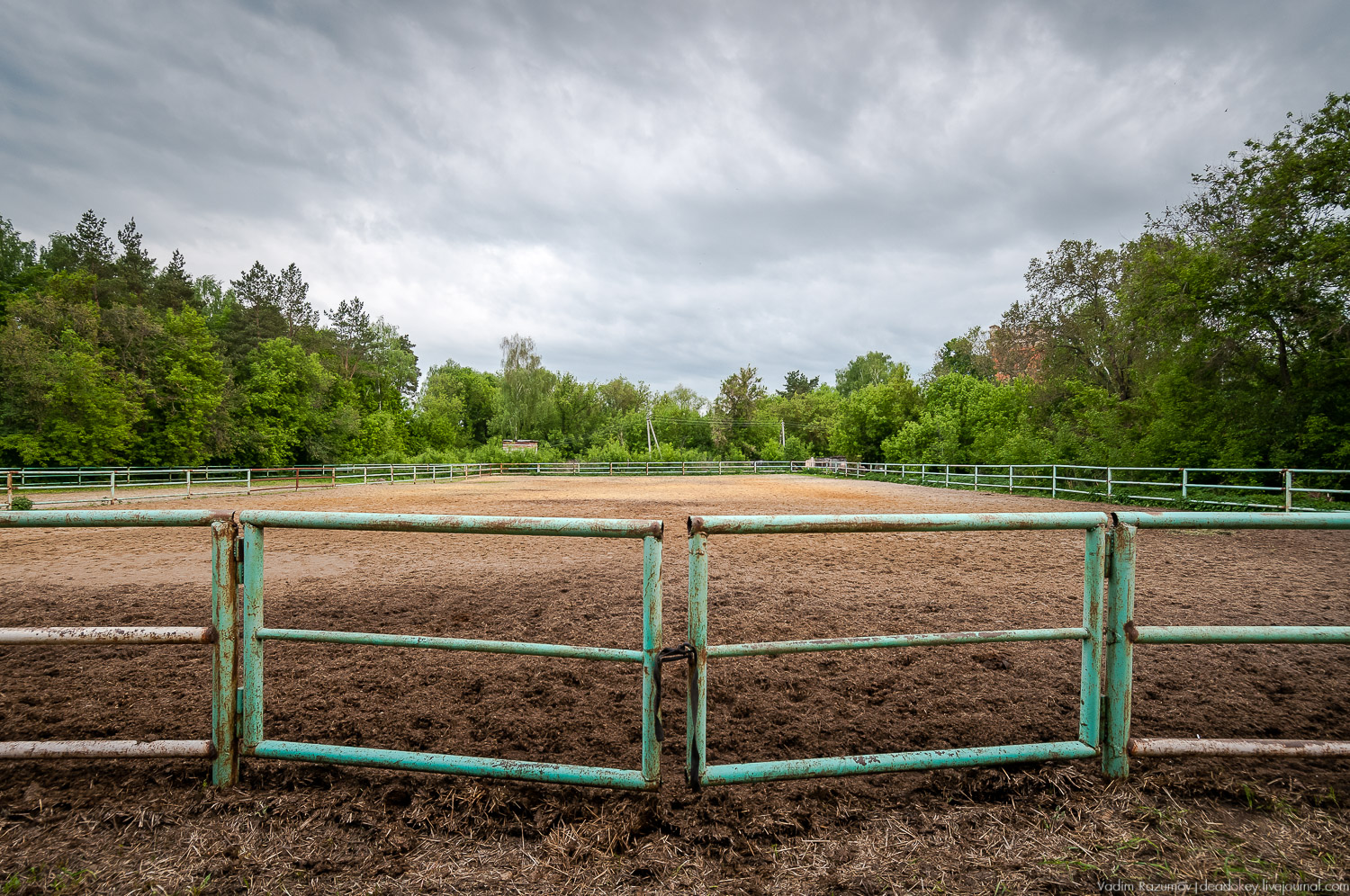 усадьба Старожилово, конезавод