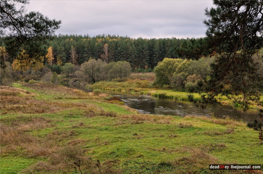 усадьба Лучки