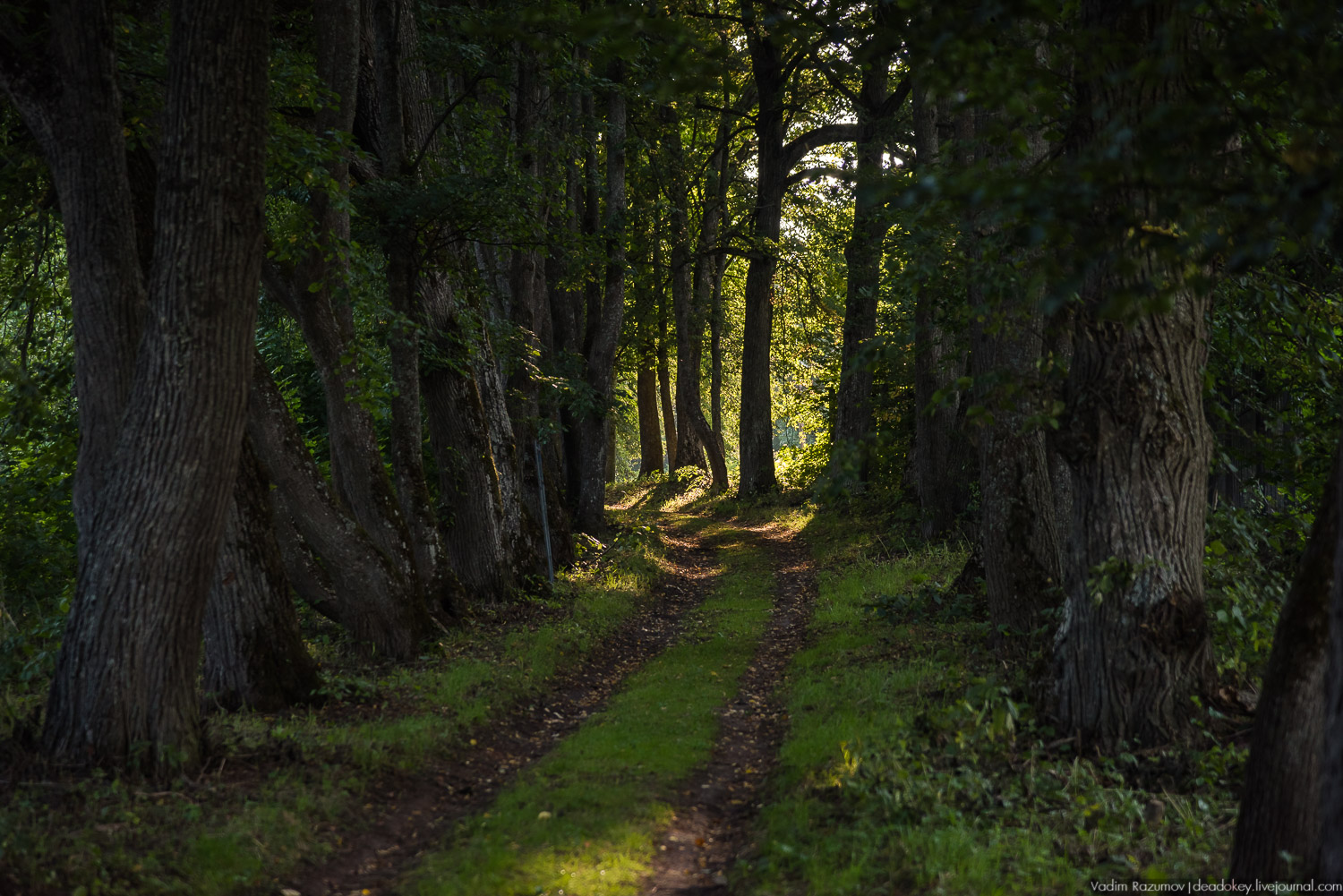 усадьба Никольское-Вяземское, Тульская область