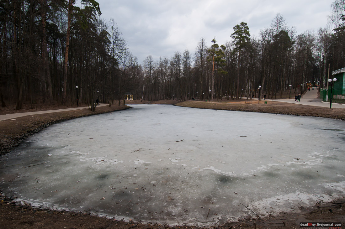 Усадьба Знаменское-Губайлово 