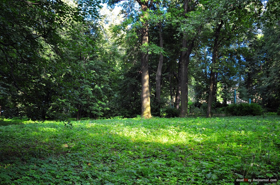 усадьба Смоленское