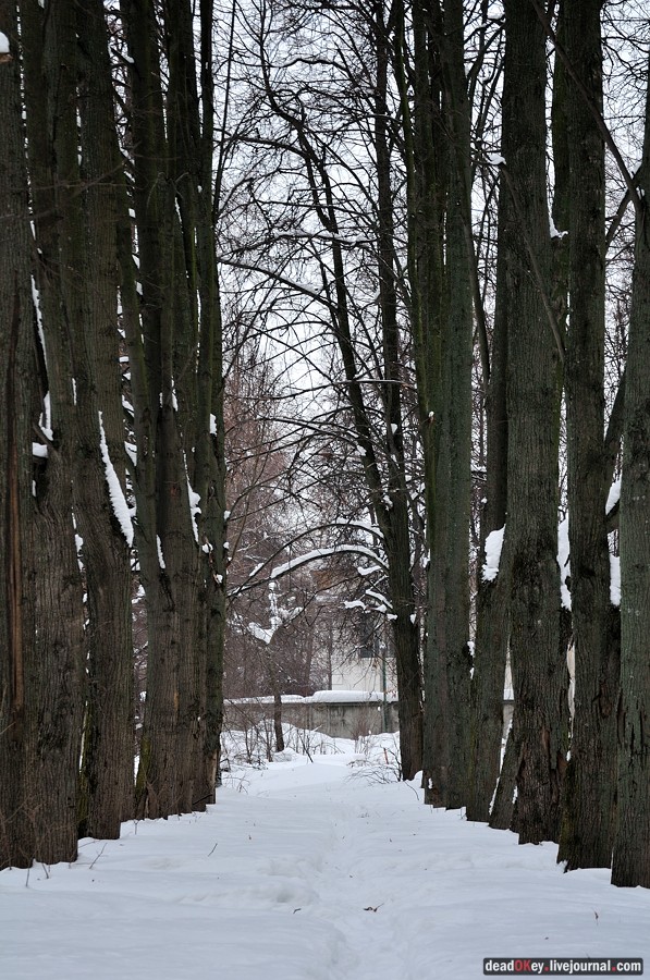 усадьба Дугино