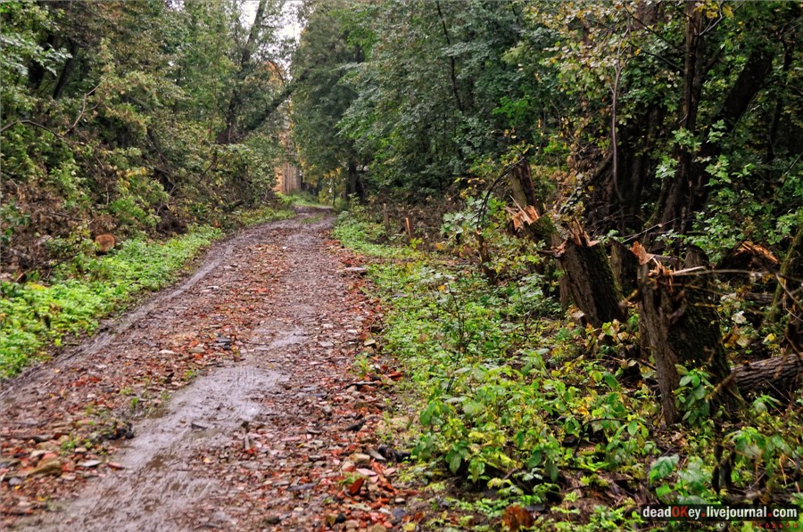 усадьба Ляхово