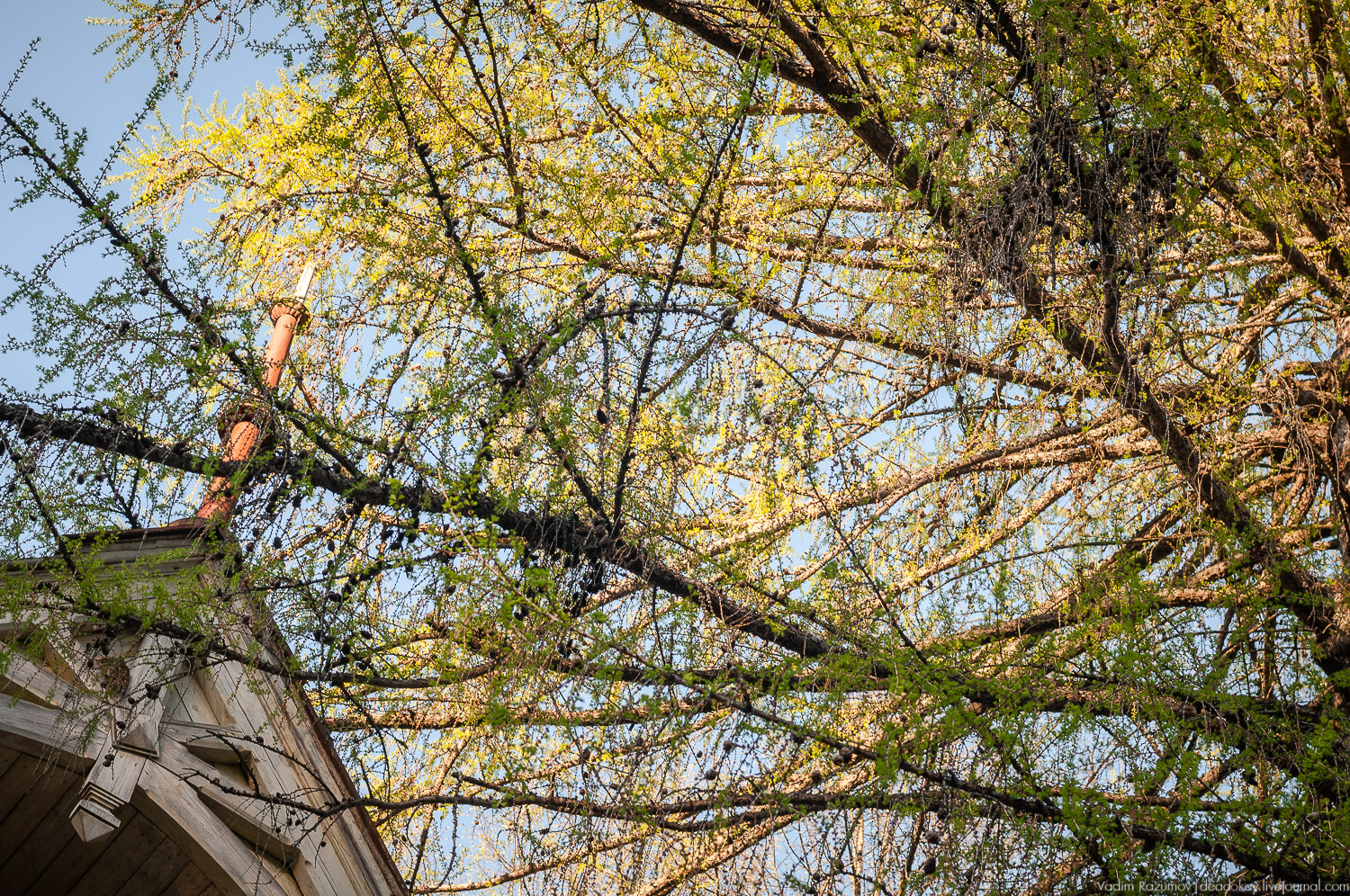 Усадьба Разоренова, Ивановская область