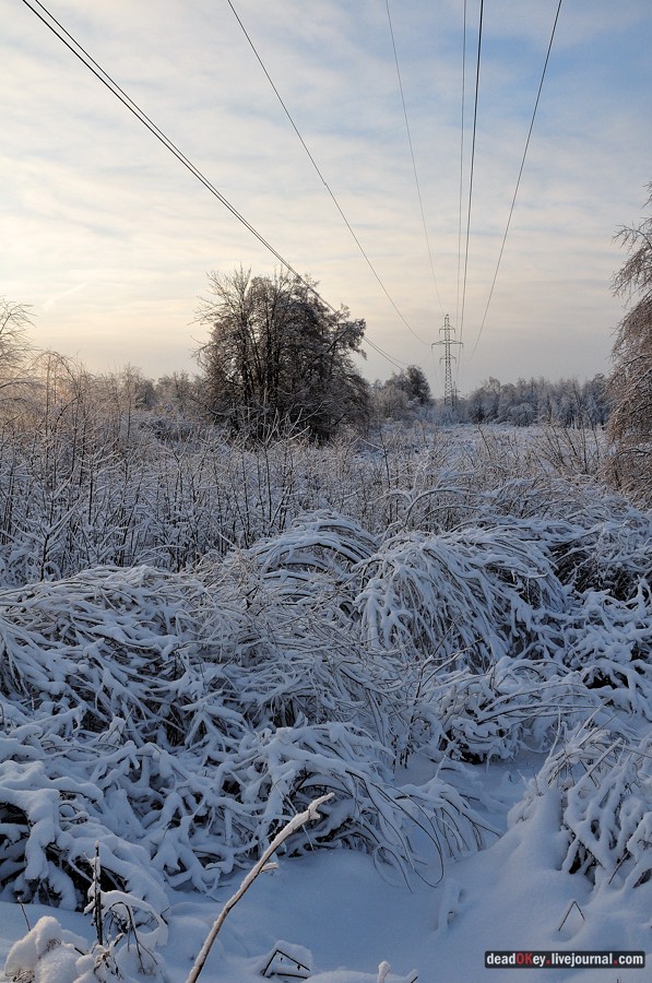 усадьба Красково