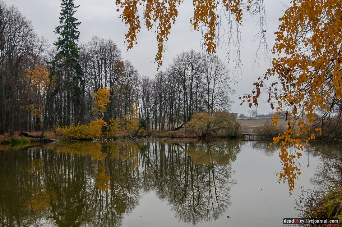 Усадьба Молоди