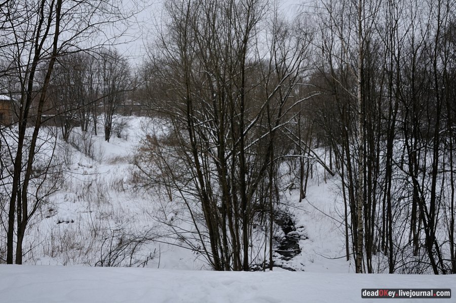 усадьба Остафьево