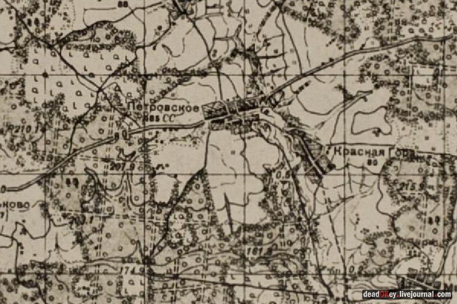 усадьба Петровское (Большепетровское)