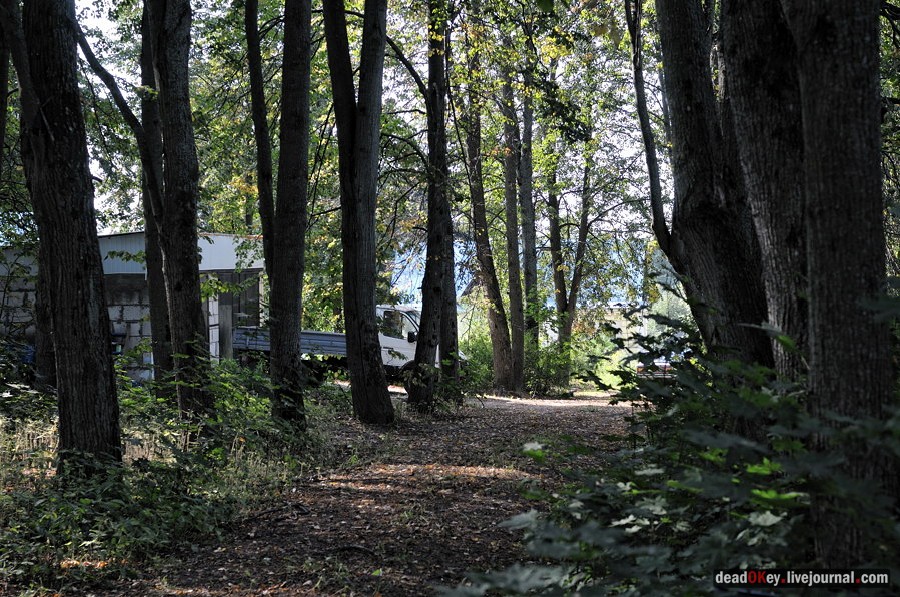 усадьба Хомяково