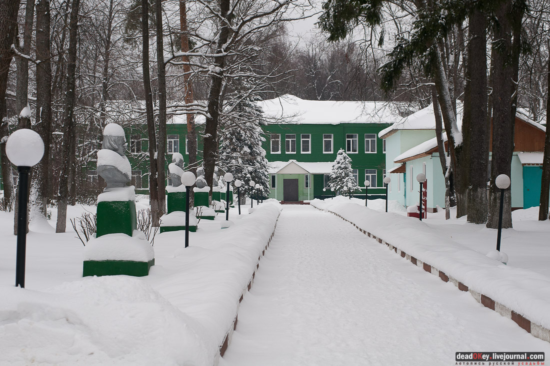 усадьба Васильевское-Скурыгино