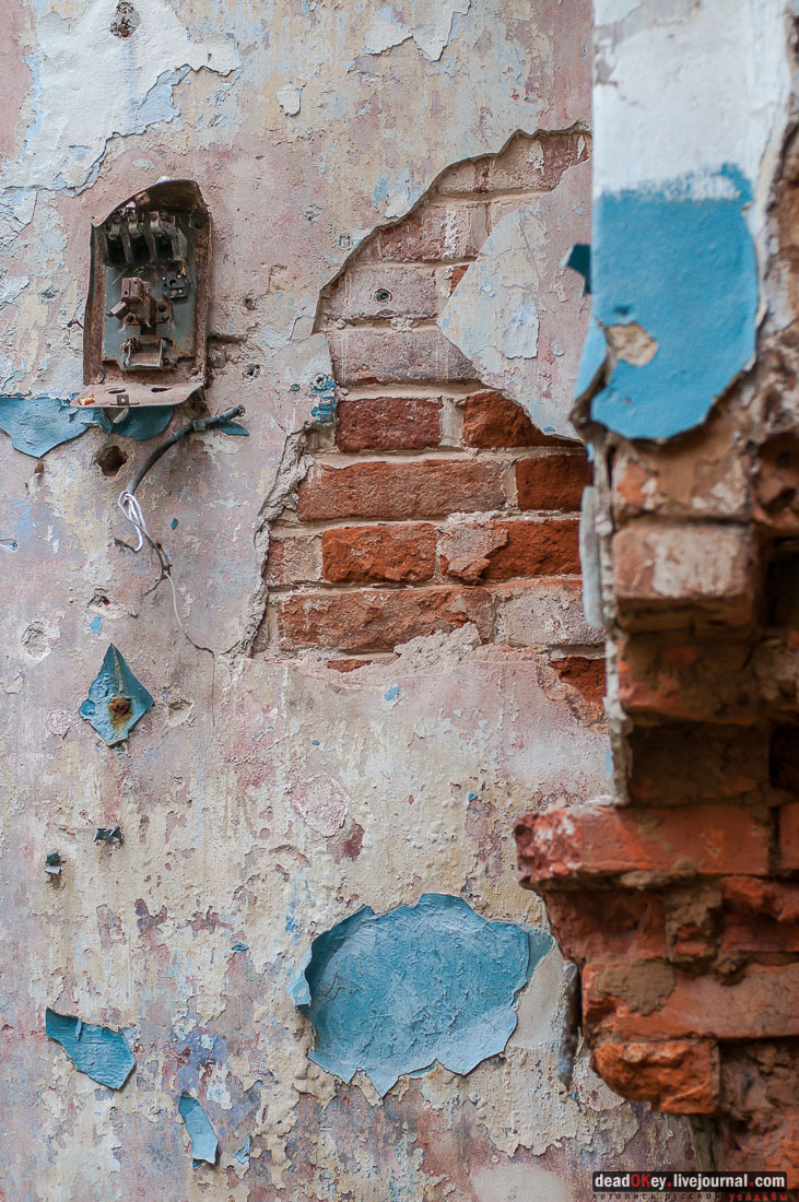 Усадьба Молоди