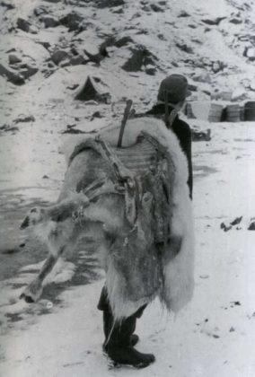 Где нацисты сдались только через 4 месяца после капитуляции? метеостанции, Шпицберген, Хаудеген», время, станции, после, немцев, Шпицбергене, «Операция, никто, пытались, вместе, через, месяца, немцы, метеостанцию, союзников, Тромсё, немецких, Сотрудники