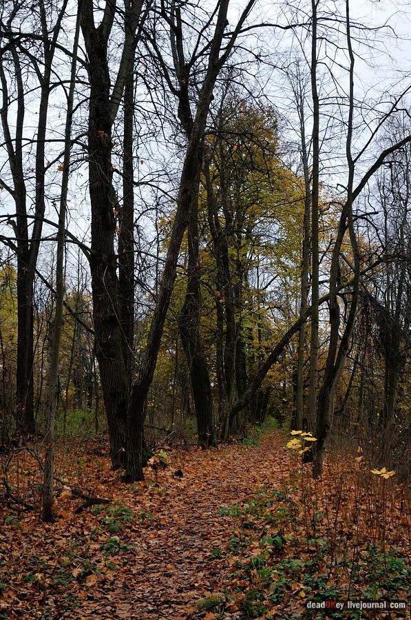 усадьба Глинки