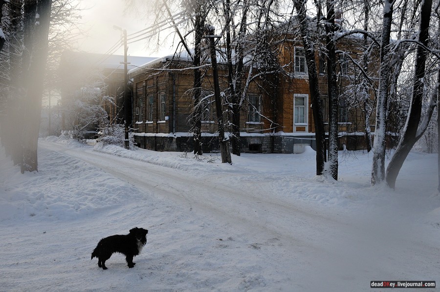 усадьба Красково