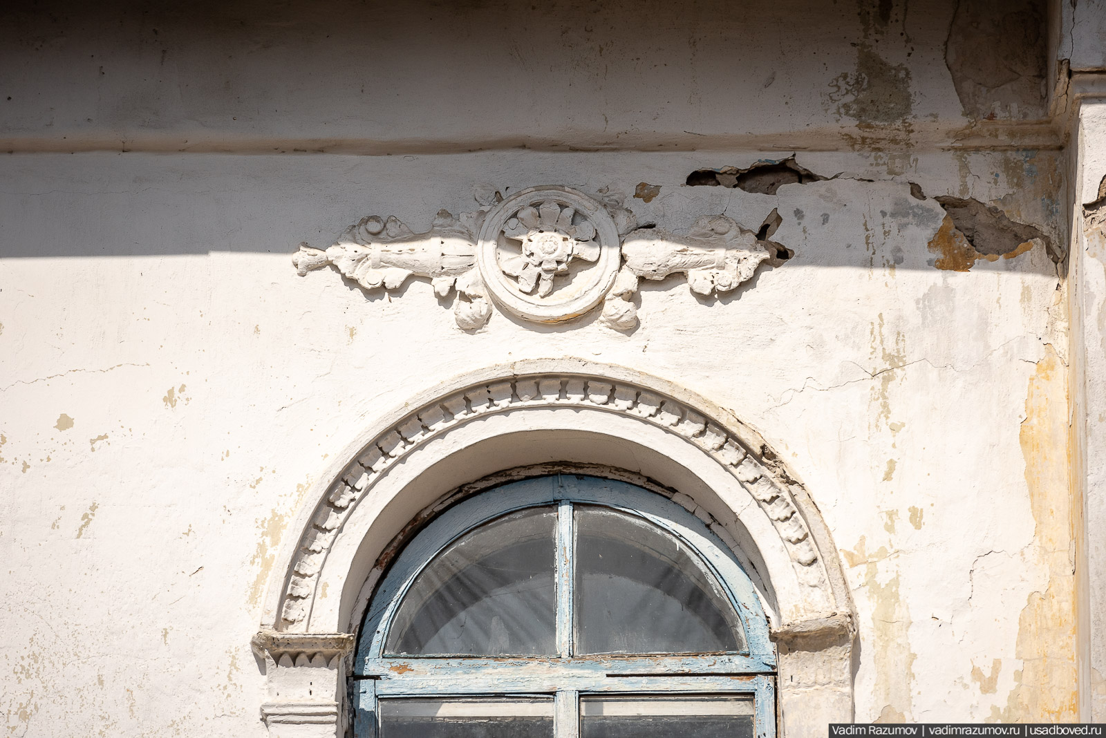 Пролески в усадьбе Репец, Задонский район, Липецкая область