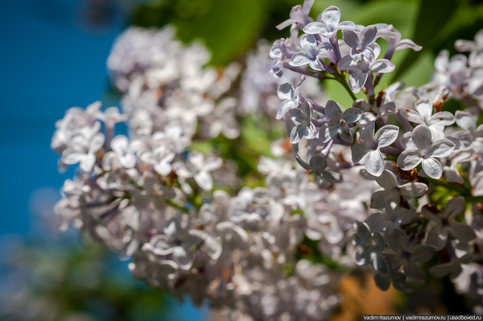 усадьба Дворяниново, Андрей Тимофеевич Болотов, Тульская область