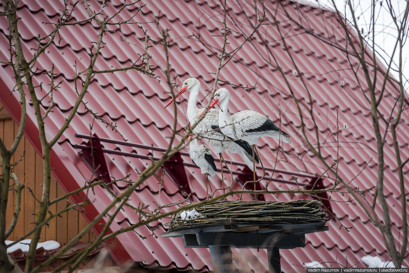 Птицы, парки, синички, снегири