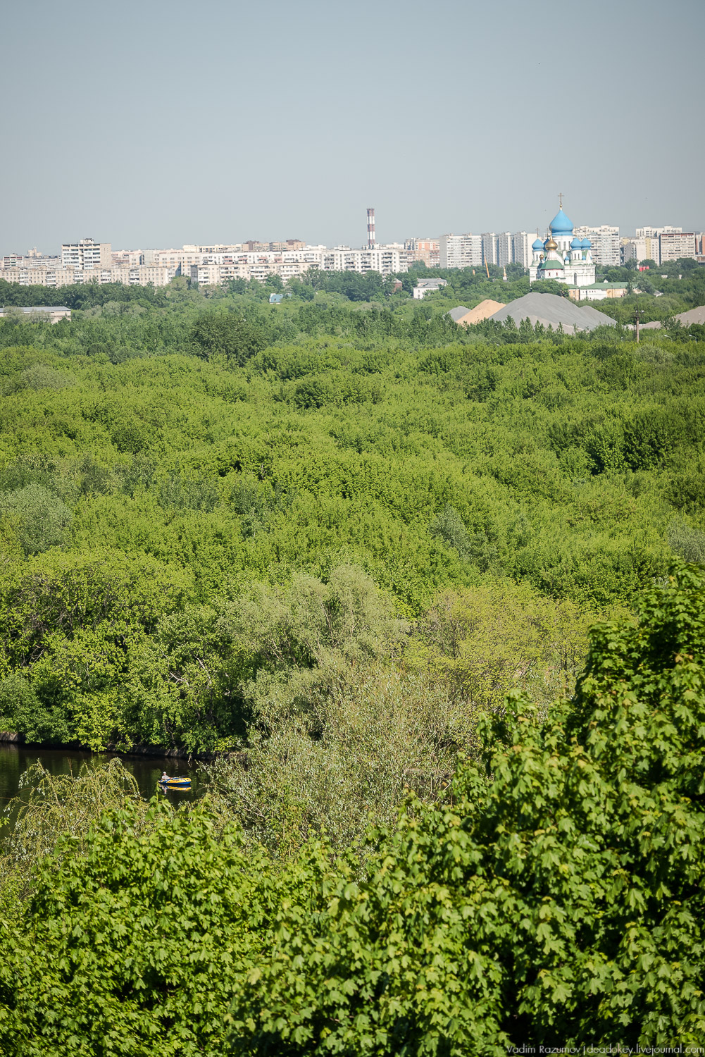 Коломенское в мае, цветы