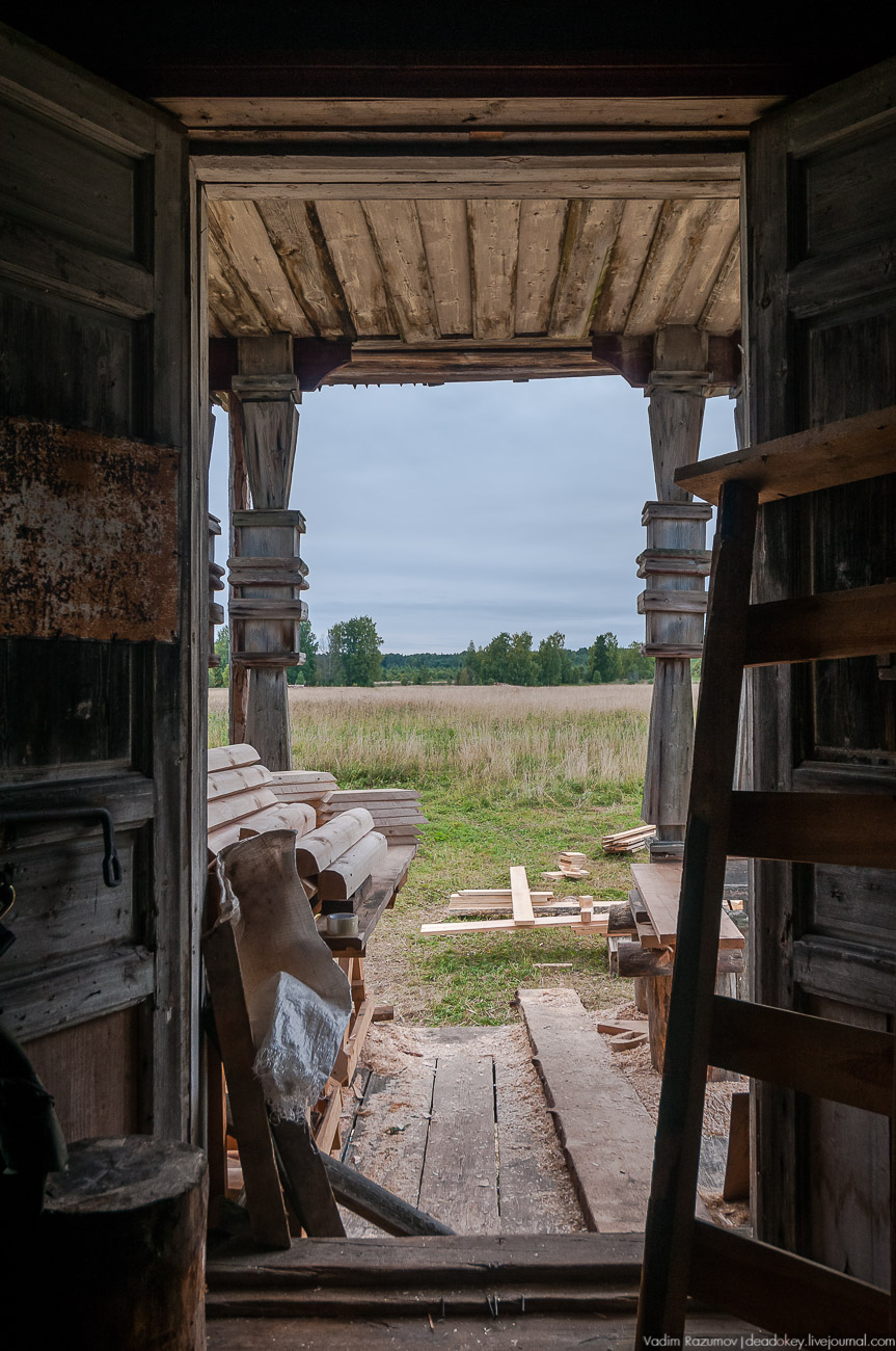 Красная Ляга, Каргопольский район, Архангельская область