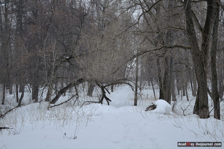 усадьба Марьинка