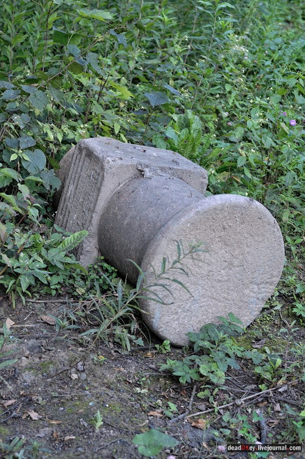 усадьба Хомяково