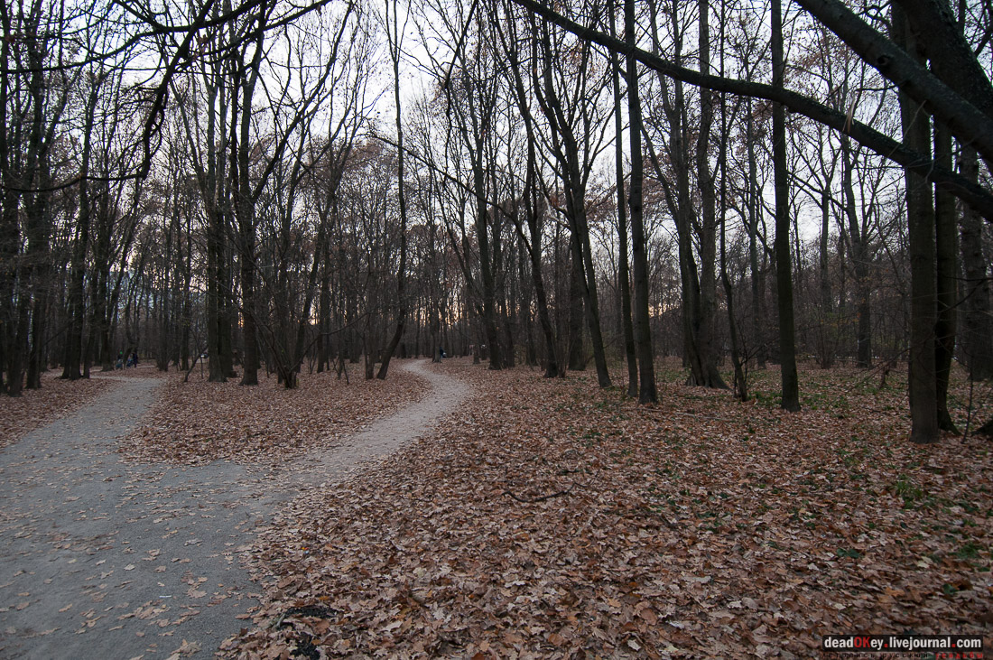Воронцово