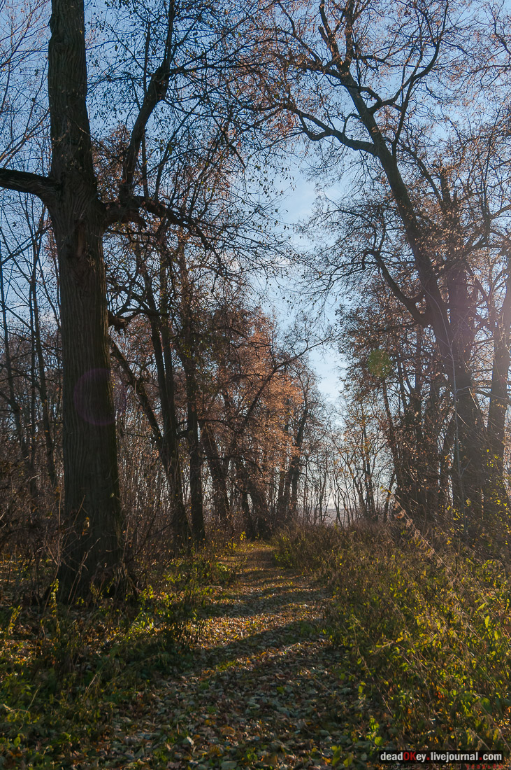 усадьба Полибино