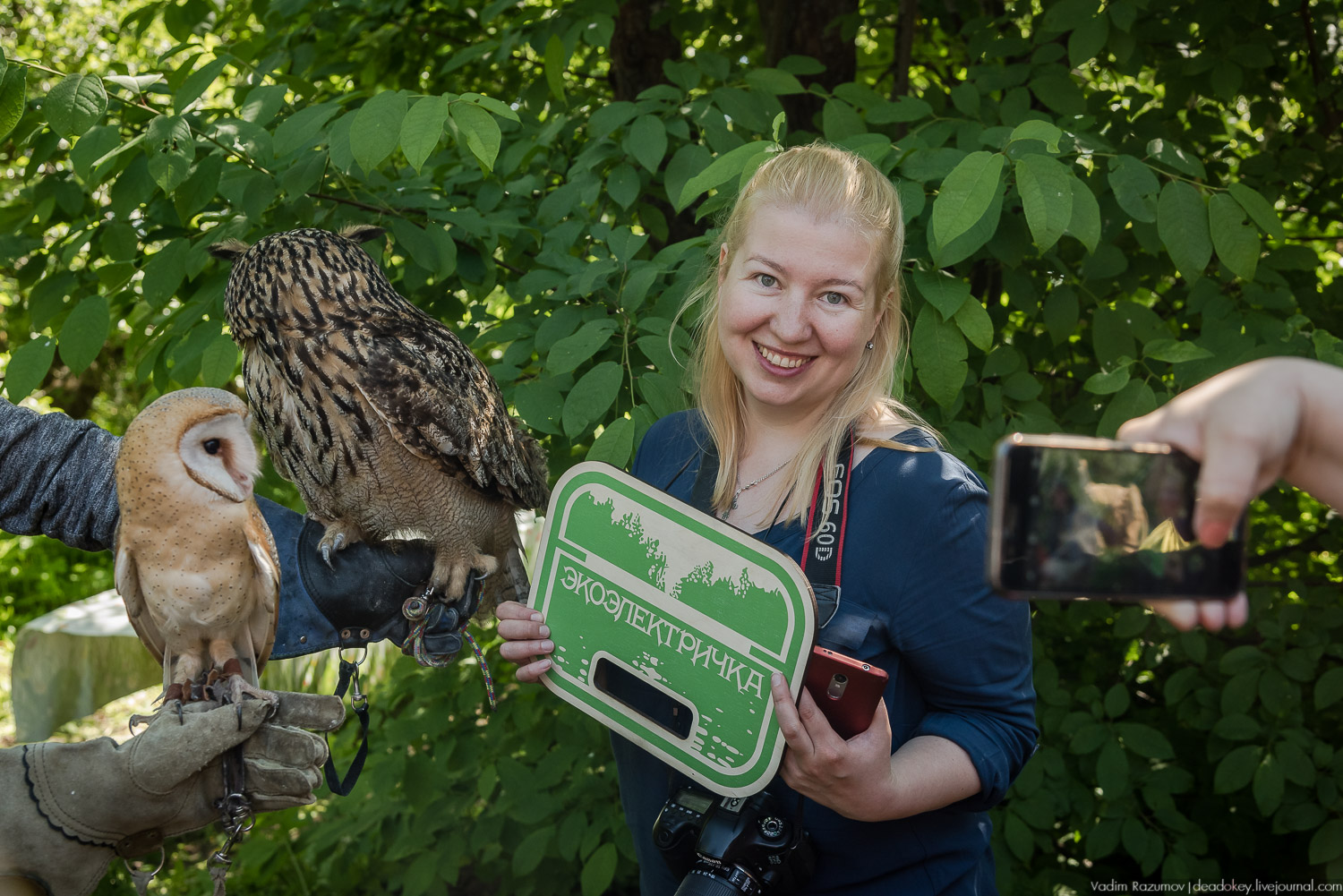 Экоэлектричка. Совиный фестиваль