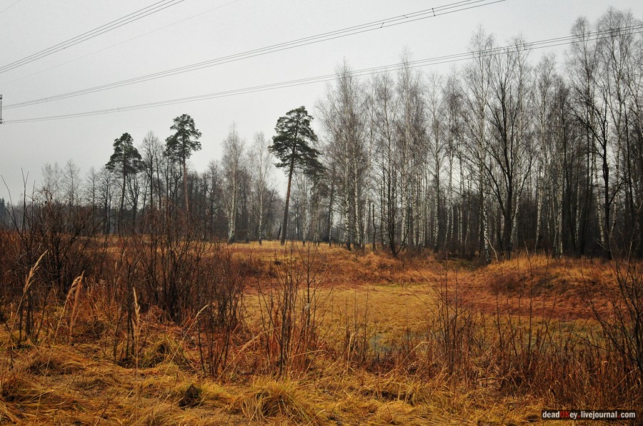 усадьба Савинское