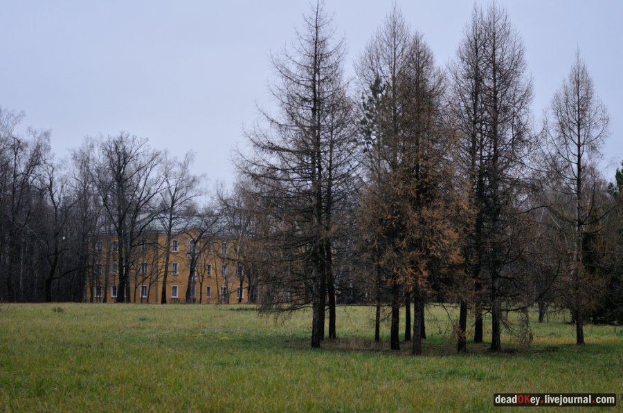 усадьба Горки Ленинские
