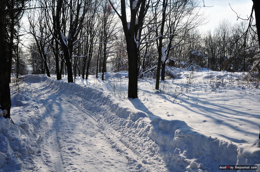 усадьба Лукино