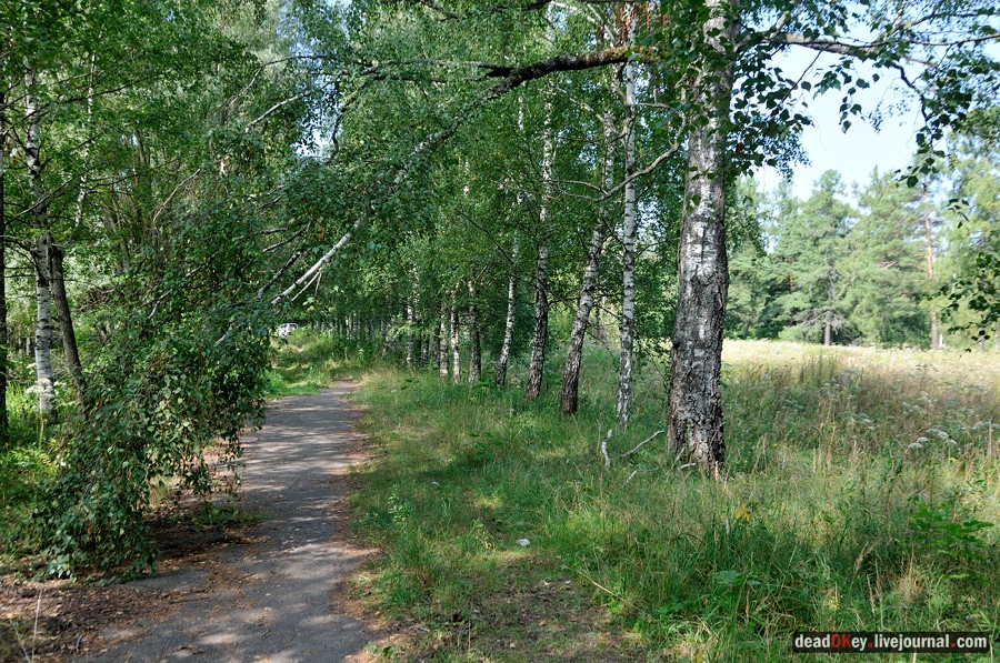 усадьба Пронино