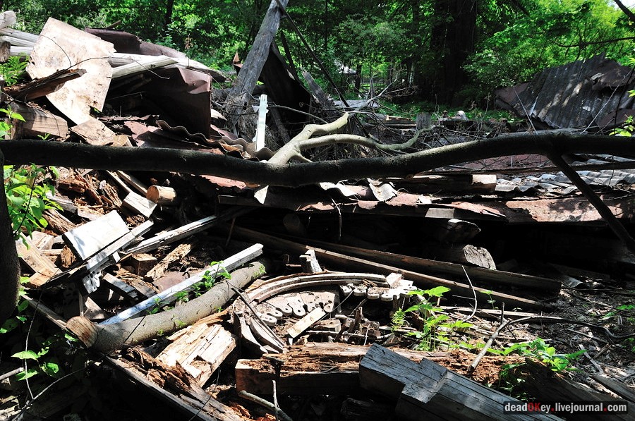 усадьба Ситники