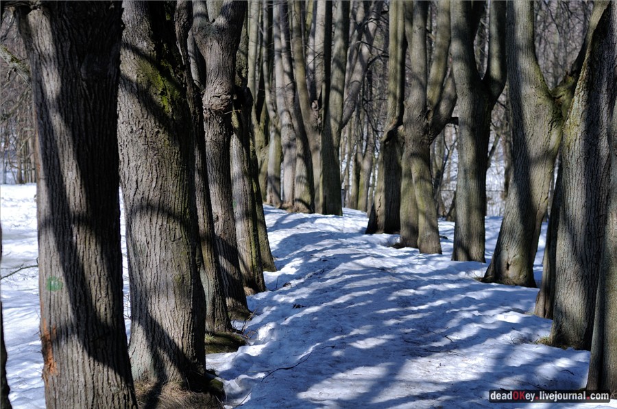 усадьба Узкое