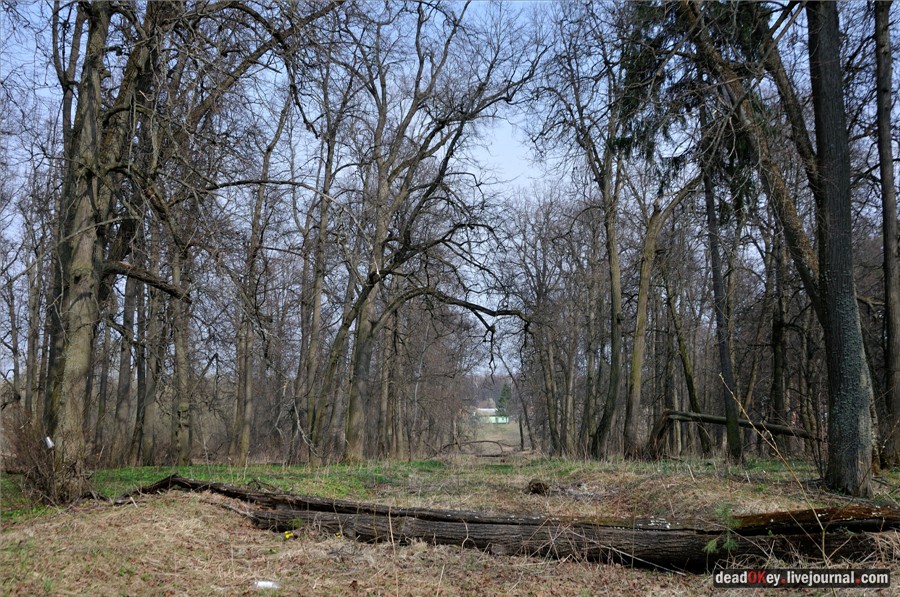 усадьба Грабцево