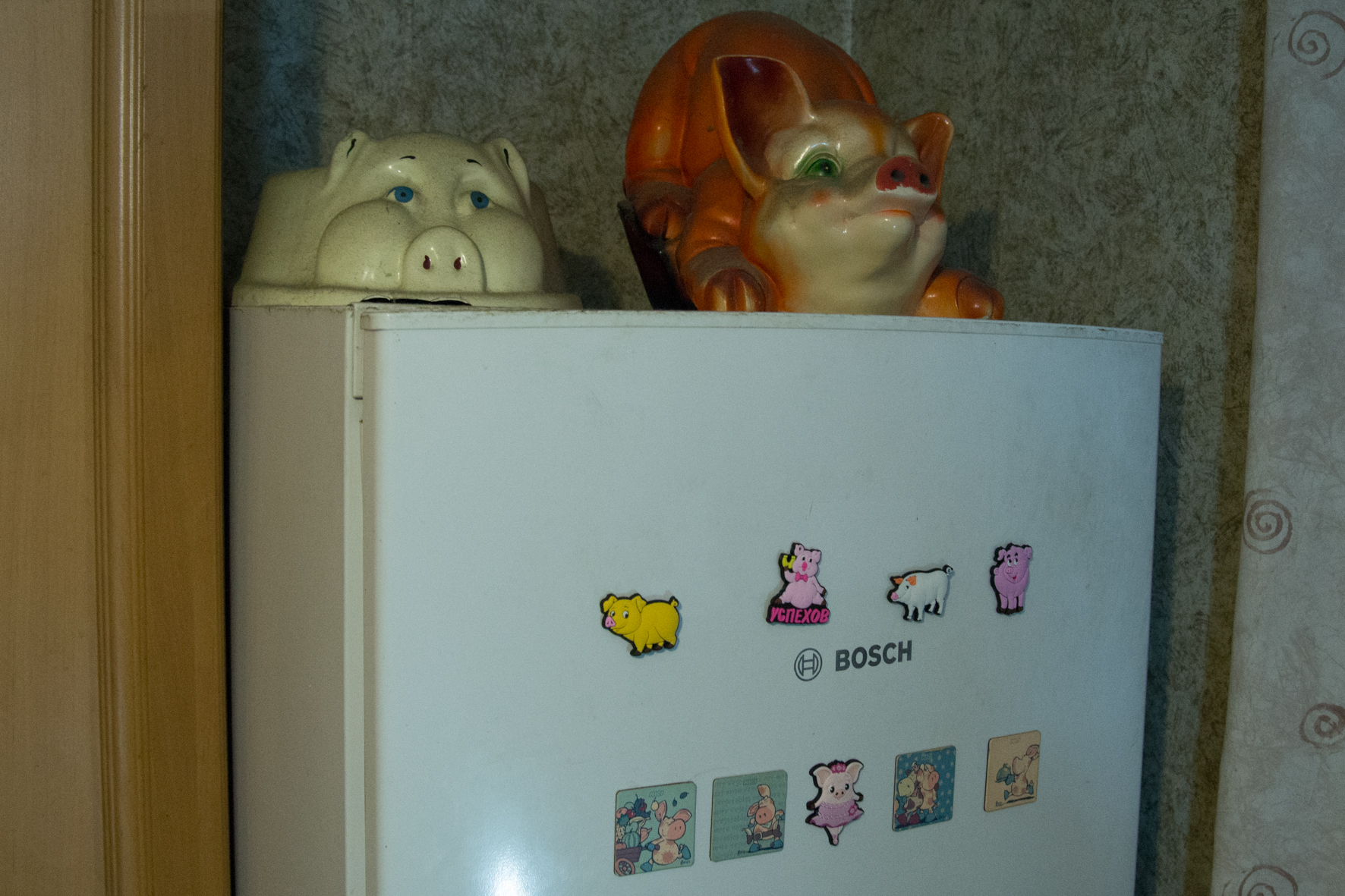 Свиньи, музей свиней