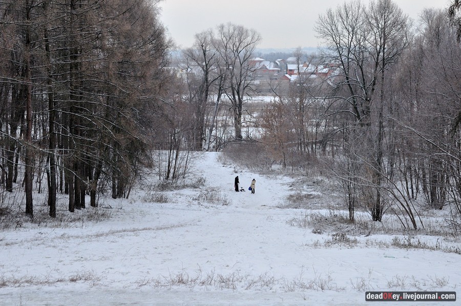 усадьба Быково