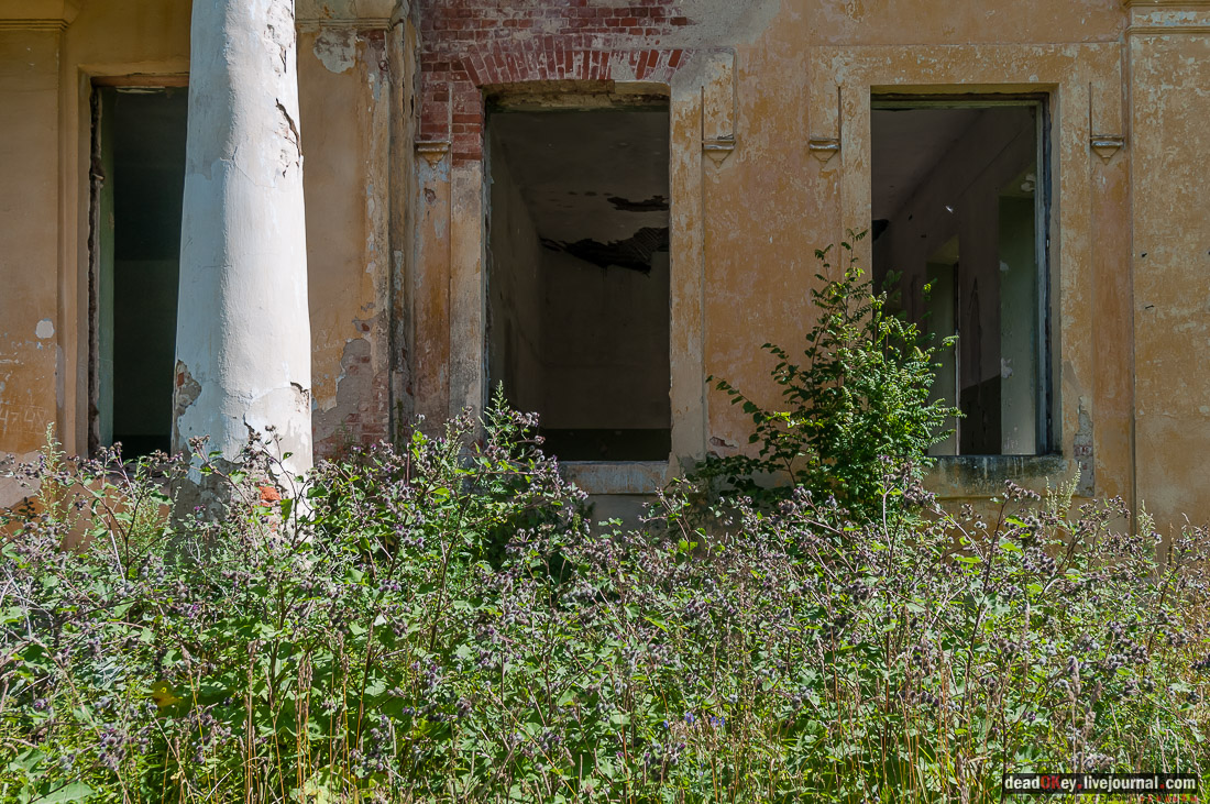 усадьба Васильевское Повалишиных