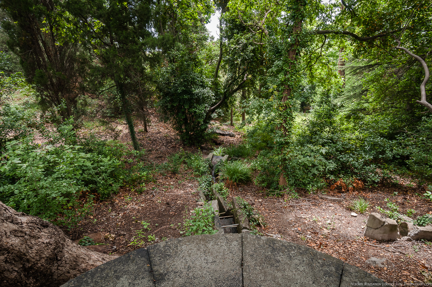 Алупка, Воронцовский дворец, Крым
