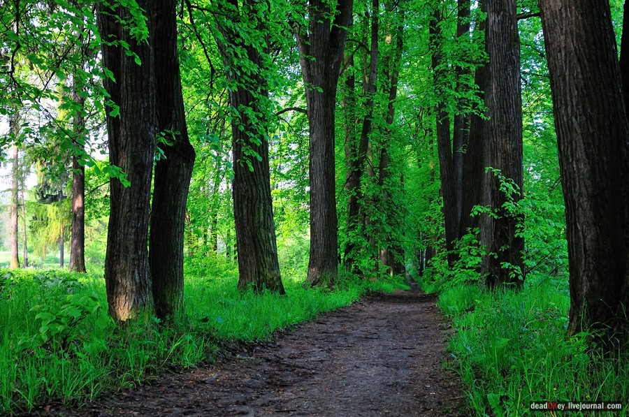 усадьба Мещерское