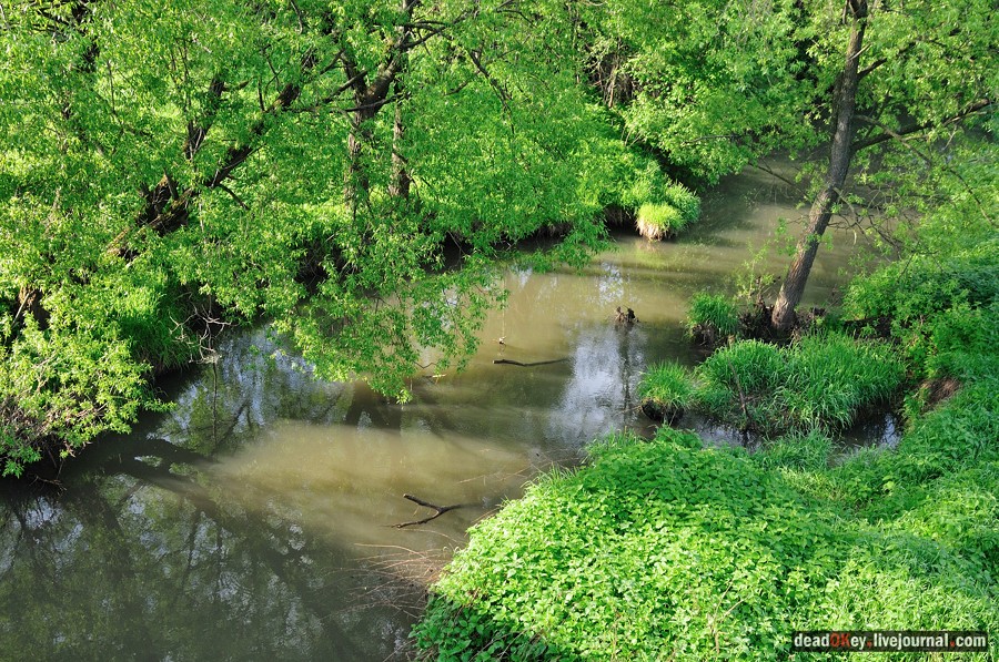 усадьба Прохорово